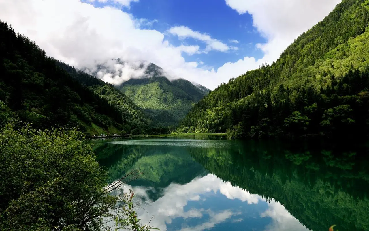 高精度高端